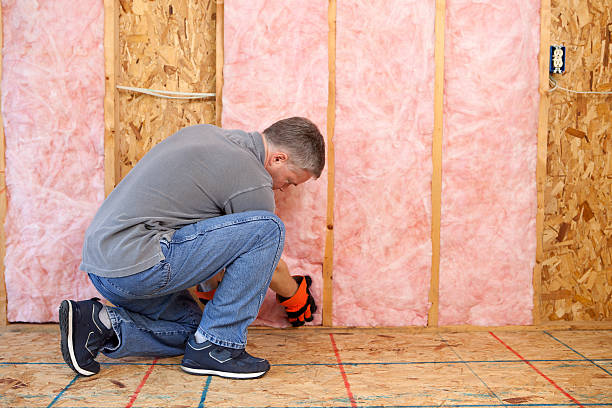 Trusted El Macero, CA Insulation Experts